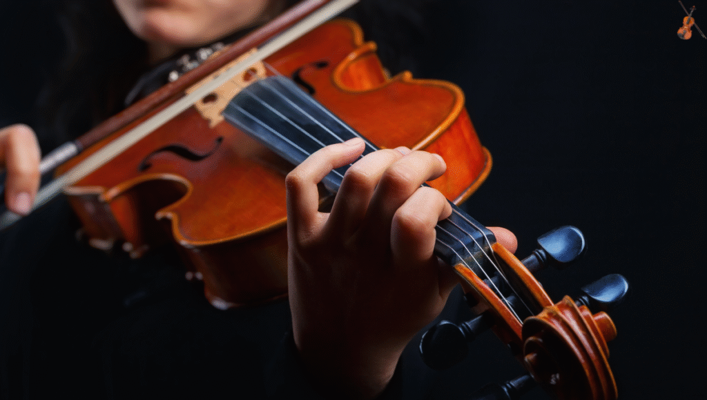 Como Escolher o Melhor Violino para Iniciantes