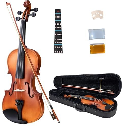 Violino Preço - 10 Melhores Violinos Custo Benefício 