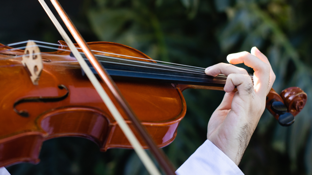 Como tocar violino profissionalmente 