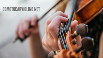 Curso De Violino Para Iniciantes | Spalla De Base De Violino