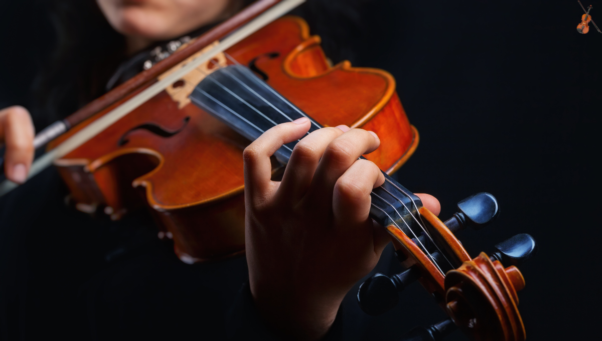 Como Escolher o Melhor Violino para Iniciantes